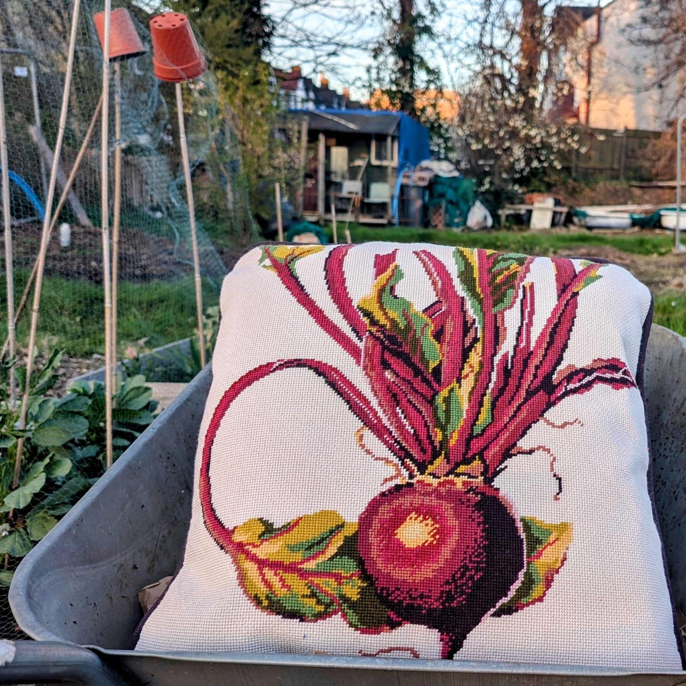 1_Beetroot_Needlepoint_Cushion_-_Fine_Cell_Work.jpg