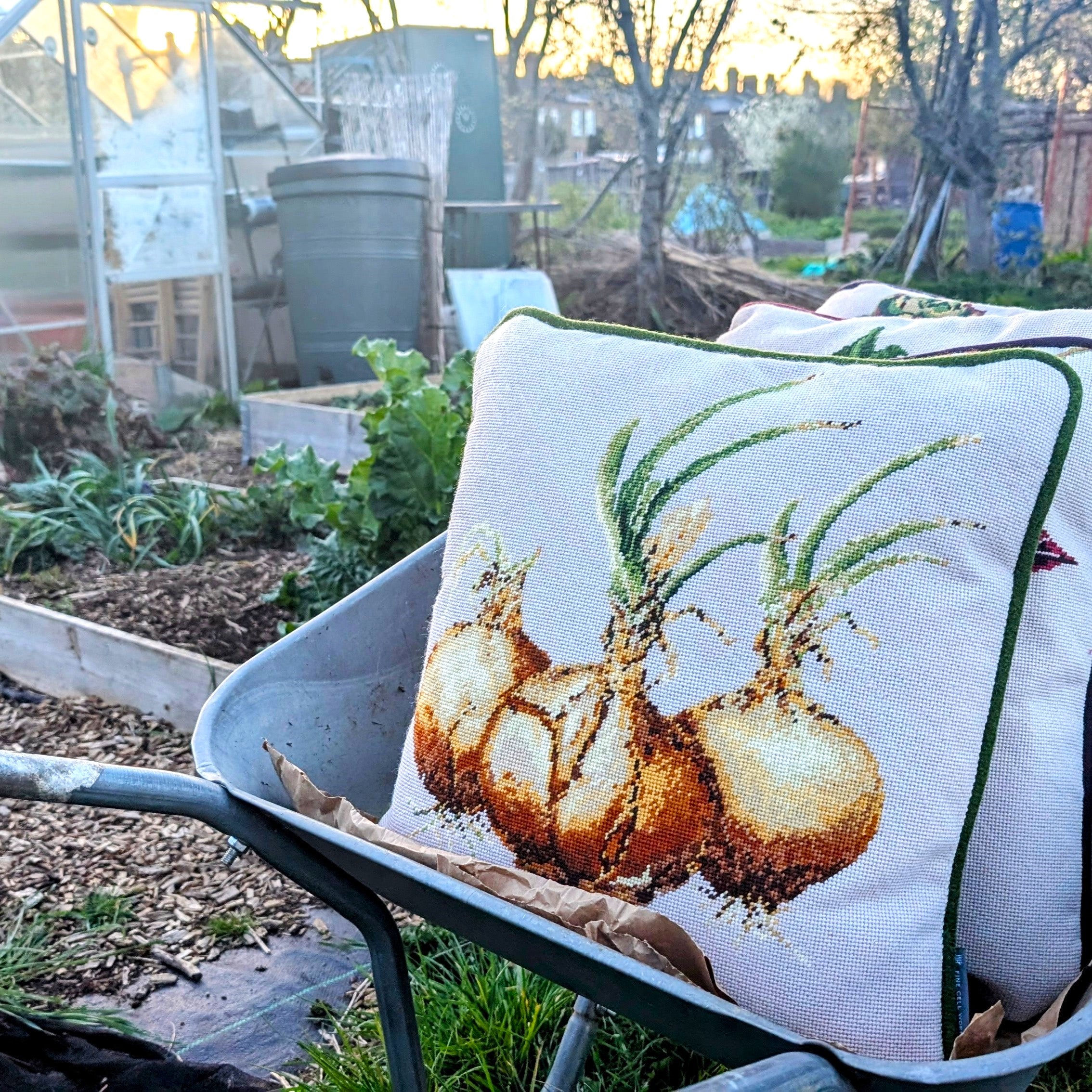 1_Onion_Needlepoint_Cushion_-_Fine_Cell_Work.jpg