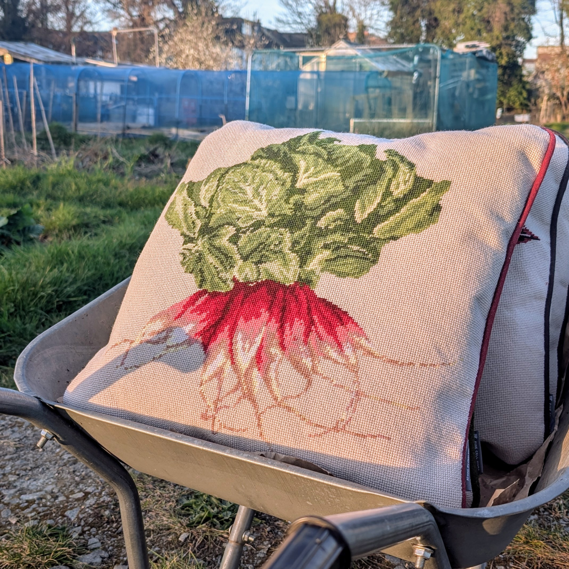 1_Radish_Needlepoint_Cushion_-_Fine_Cell_Work.png
