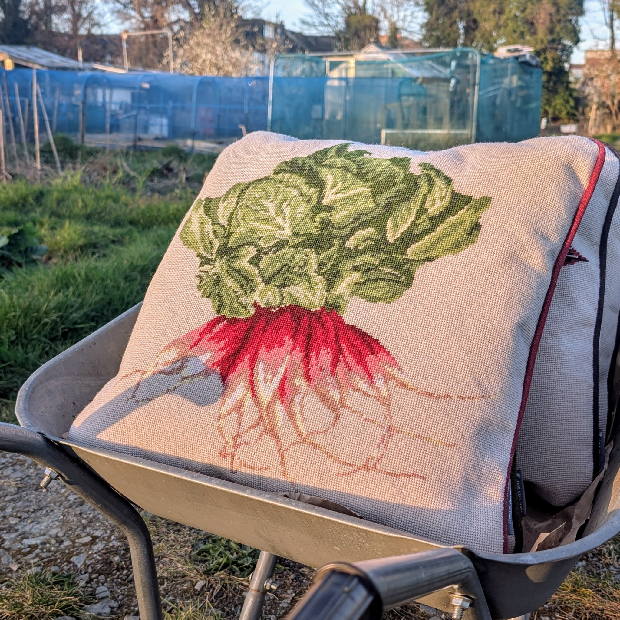 Radish Needlepoint Cushion