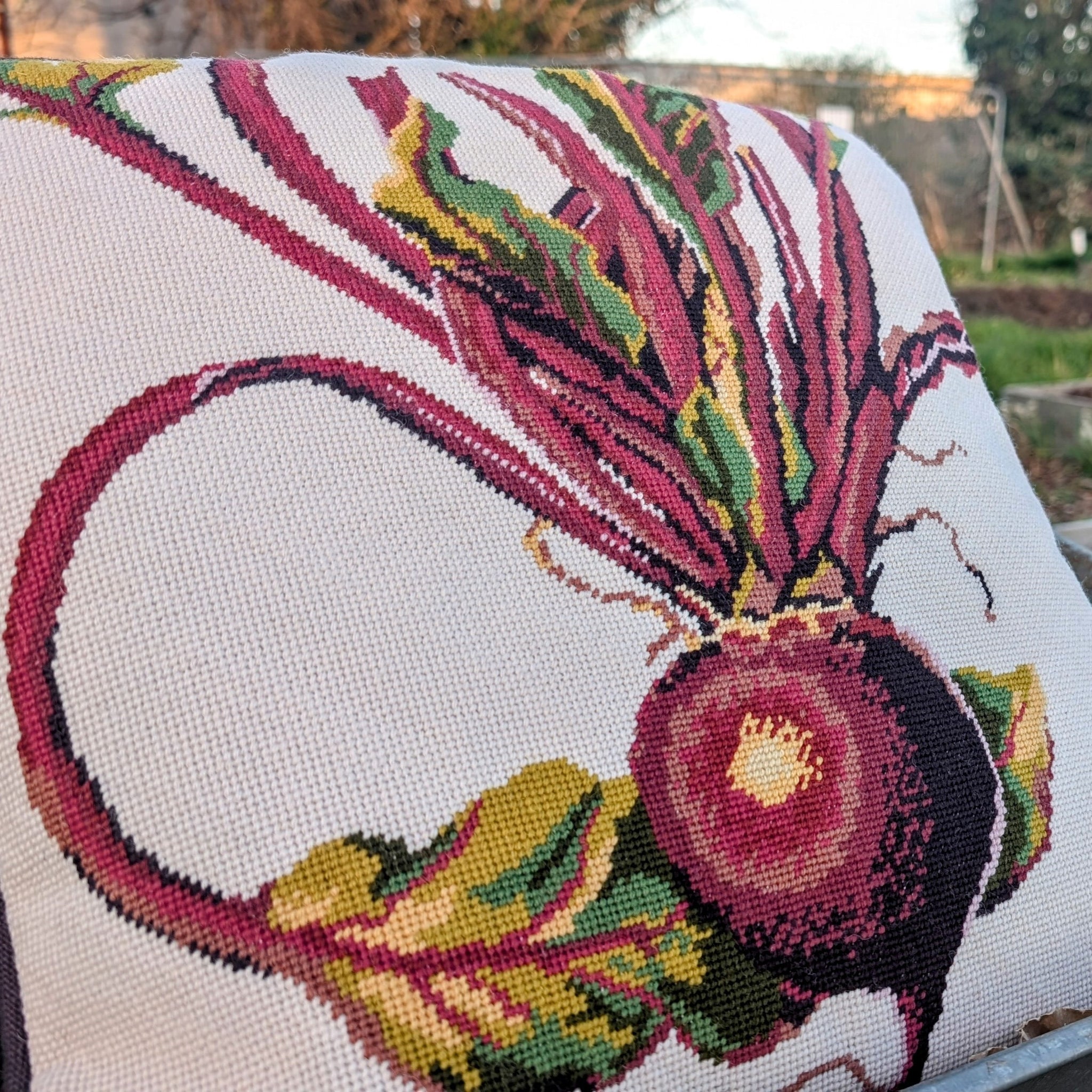 Beetroot Needlepoint Cushion